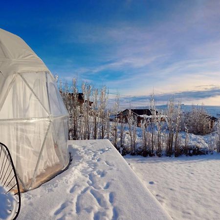 Boreas Ecoluxury Glamping 엘 칼라파테 외부 사진